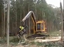 ماشین چوب بری کاملاً اتوماتیک